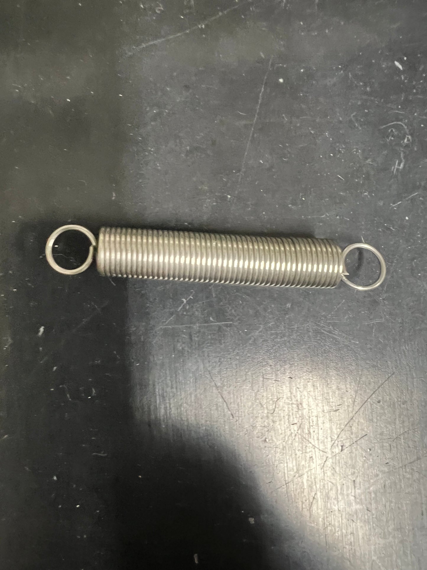 Stainless Steel Bait Spring